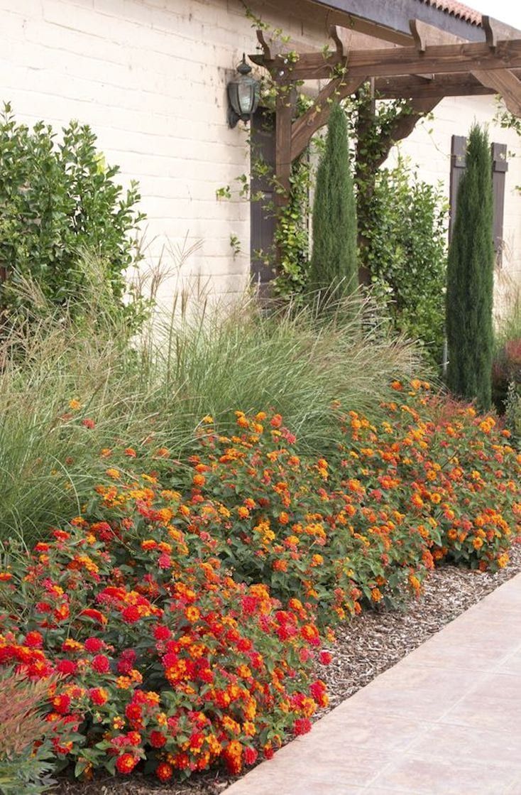 Grasses and a band of flowers against a pale masonry wall and a wood porch.
