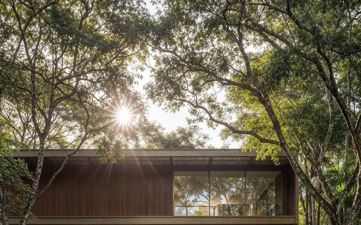 A stone and wood house seen through a closed tree canopy, with sun through the leaves.